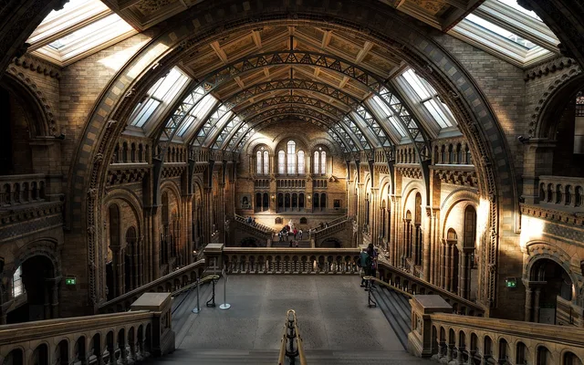 natural history museum, london, interior, arch, stairs, hall, architecture, history, museum, england, united kingdom, london, london, london, london, history, museum, museum, museum, museum, museum. Independently run museums reward visitors who slow down