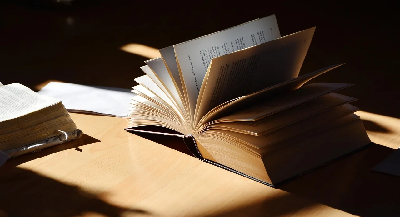 a book, read, literature, to learn, book pages, writing, favorite book, mood, light, light shadow, to study, books, writing, writing, writing, writing, writing, books, books, books. Small Museum Collection Management Software Basics