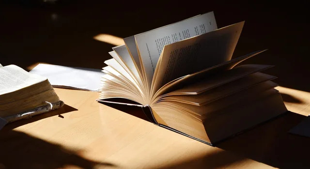 a book, read, literature, to learn, book pages, writing, favorite book, mood, light, light shadow, to study, books, writing, writing, writing, writing, writing, books, books, books. Small Museum Collection Management Software Basics