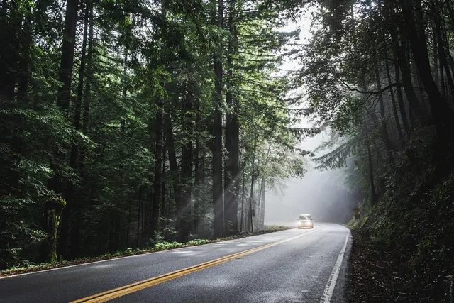 car, sunlight, forest, road, street, avenue, trees, woods, woodlands, drive, road trip, car wallpapers, vehicle, transportation, nature, travel, rural, scenic, transport, way, trip, countryside, asphalt, journey, landscape. Smithsonian Affiliations Road Trip: Two Routes