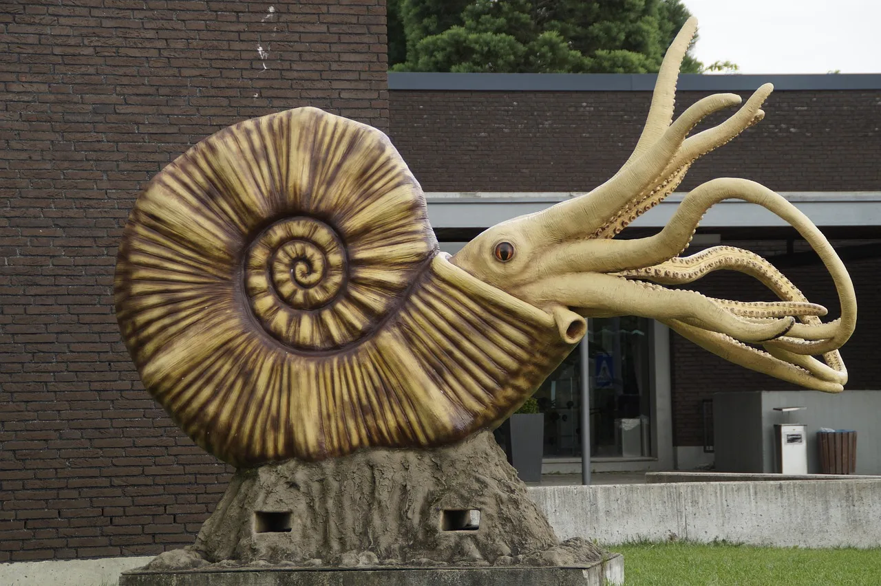 fossil, nautilus, ammonite, replica, snail shell, casing, shell, ancient, fossils, primeval times, fossil beast, nature, animal, tentacle, exhibit, museum, holzmaden, natural history museum, quarry, nautilus, nautilus, nautilus, ammonite, ammonite, ammonite, ammonite, ammonite. Specialty museum exhibits: where costs sit, in estimates
