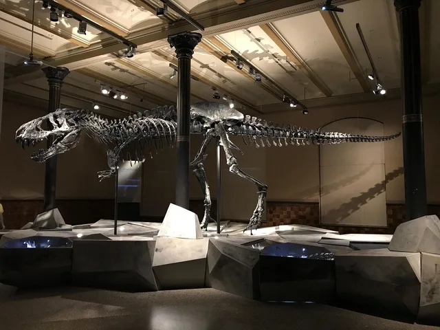 dinosaur, museum, t-rex, skeleton, evolution, nature, dangerous, dinosaur skeleton, paleontology, bone, exhibit, fossils, teeth, dinosaur, dinosaur, dinosaur, museum, t-rex, evolution, evolution, evolution, evolution, dinosaur skeleton, dinosaur skeleton, dinosaur skeleton, dinosaur skeleton, dinosaur skeleton, exhibit. Six Steps for Reading Specialty Museum Exhibits