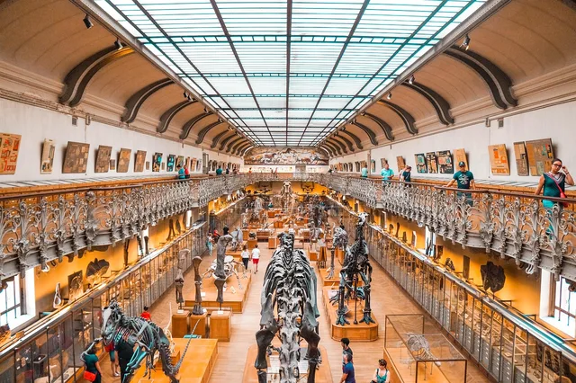 museum, dinosaur, dino, fossil, paleontology, extinct, prehistoric, evolution, ancient, jurassic, history, bones, archeology, predator, tourism, brown dinosaur, educational, museum, museum, museum, museum, museum, dinosaur, dinosaur, evolution. Unusual museums: what to keep and what to drop